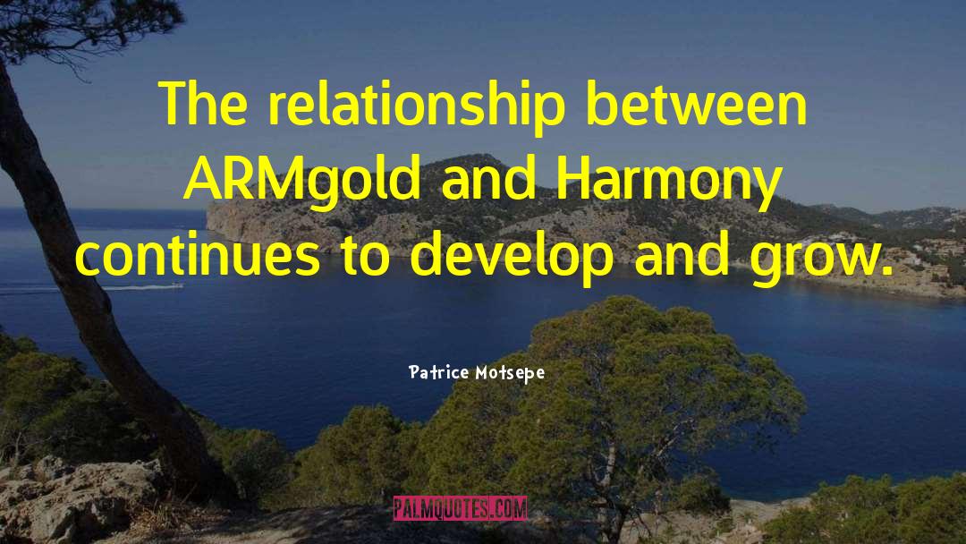 Patrice Motsepe Quotes: The relationship between ARMgold and