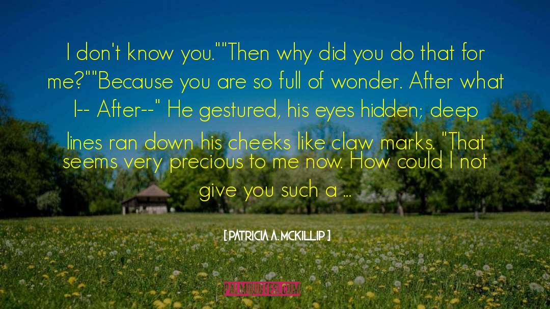 Patricia A. McKillip Quotes: I don't know you.