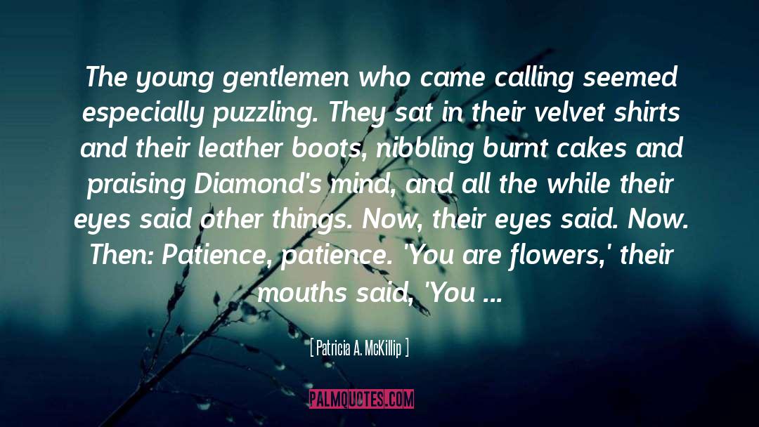 Patricia A. McKillip Quotes: The young gentlemen who came