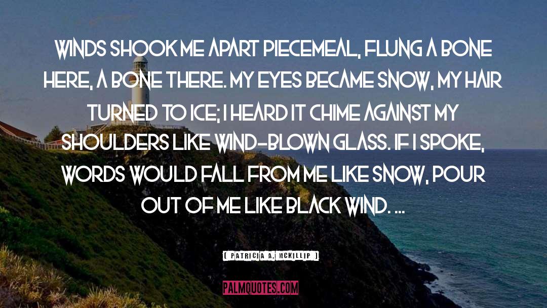 Patricia A. McKillip Quotes: Winds shook me apart piecemeal,