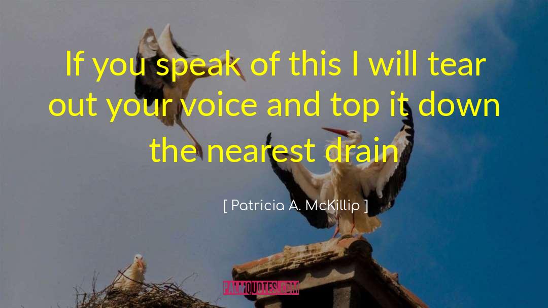 Patricia A. McKillip Quotes: If you speak of this