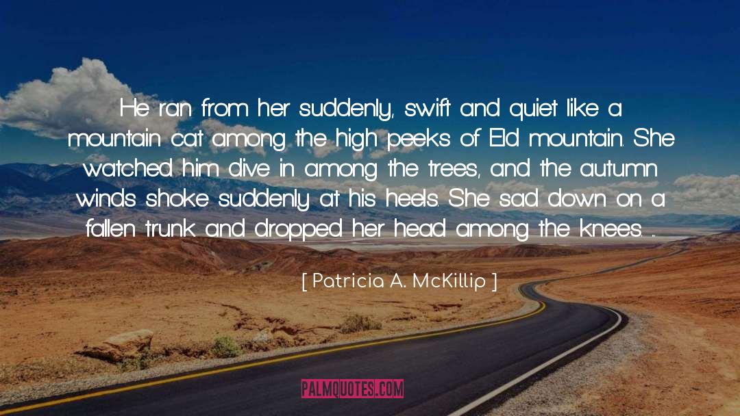 Patricia A. McKillip Quotes: He ran from her suddenly,