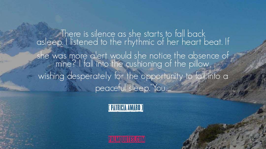 Patricia Amaro Quotes: There is silence as she