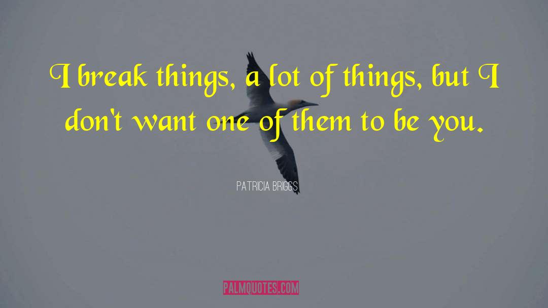 Patricia Briggs Quotes: I break things, a lot