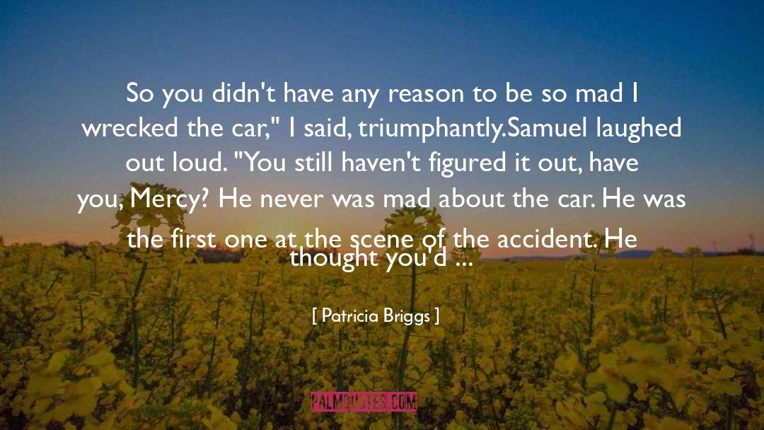 Patricia Briggs Quotes: So you didn't have any