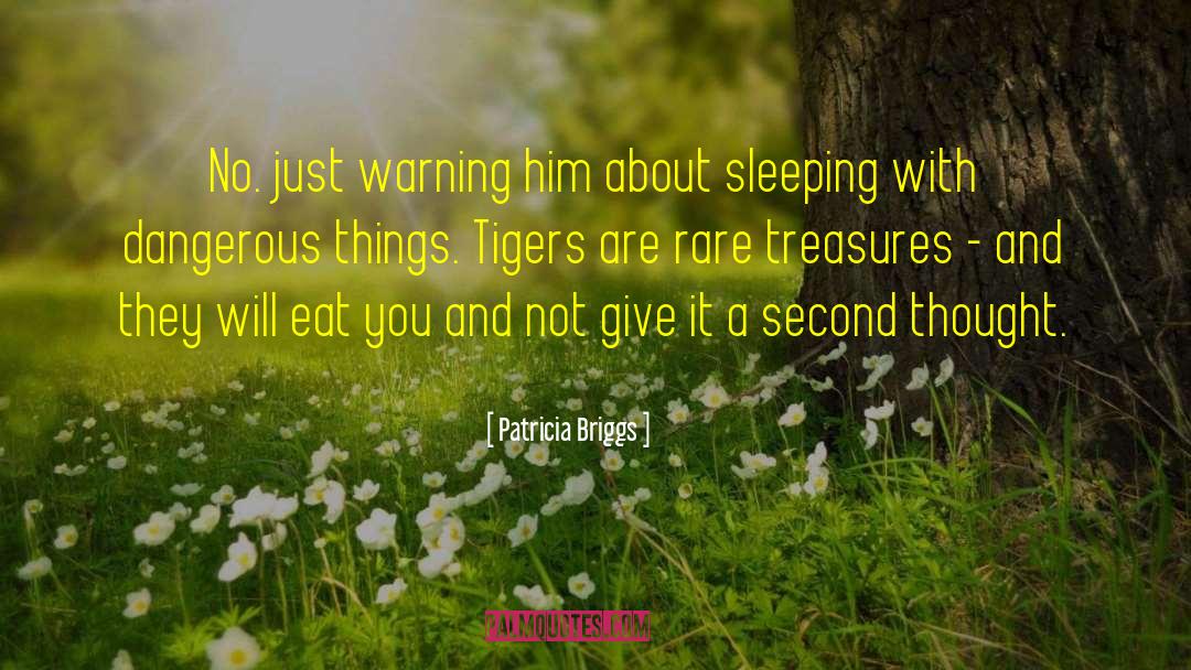 Patricia Briggs Quotes: No. just warning him about
