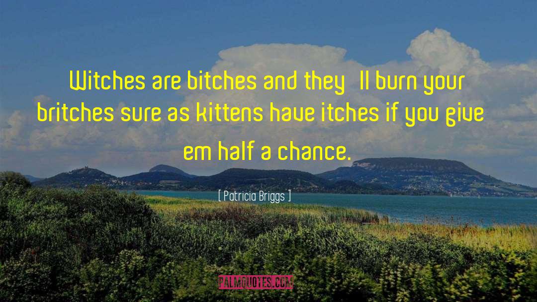 Patricia Briggs Quotes: Witches are bitches and they'll