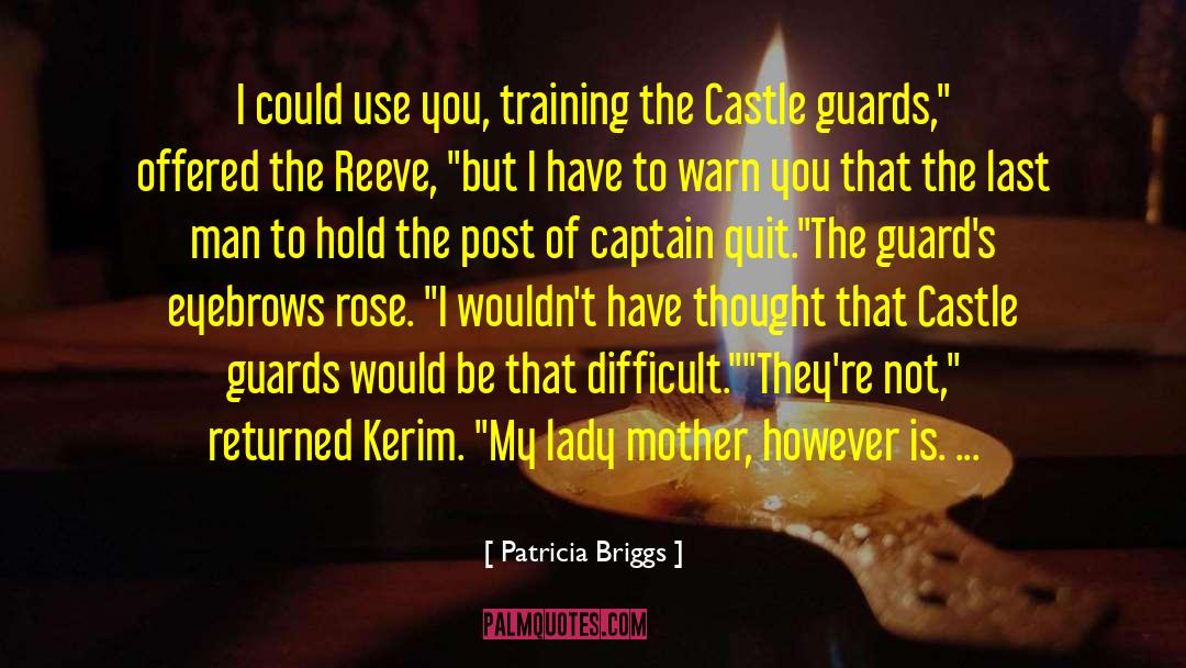 Patricia Briggs Quotes: I could use you, training