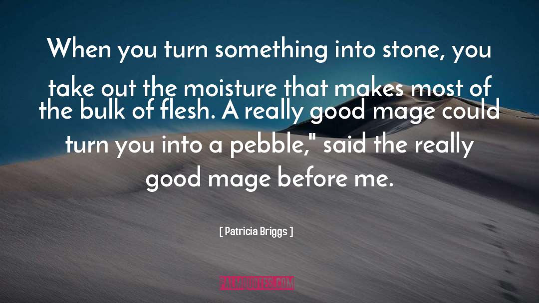 Patricia Briggs Quotes: When you turn something into