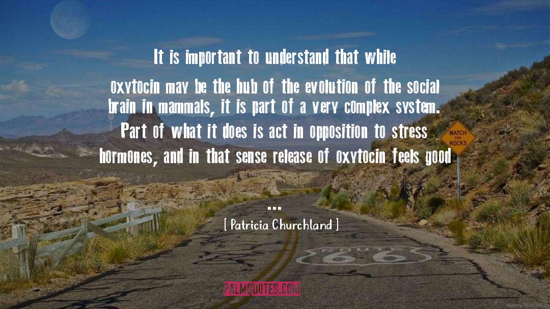 Patricia Churchland Quotes: It is important to understand