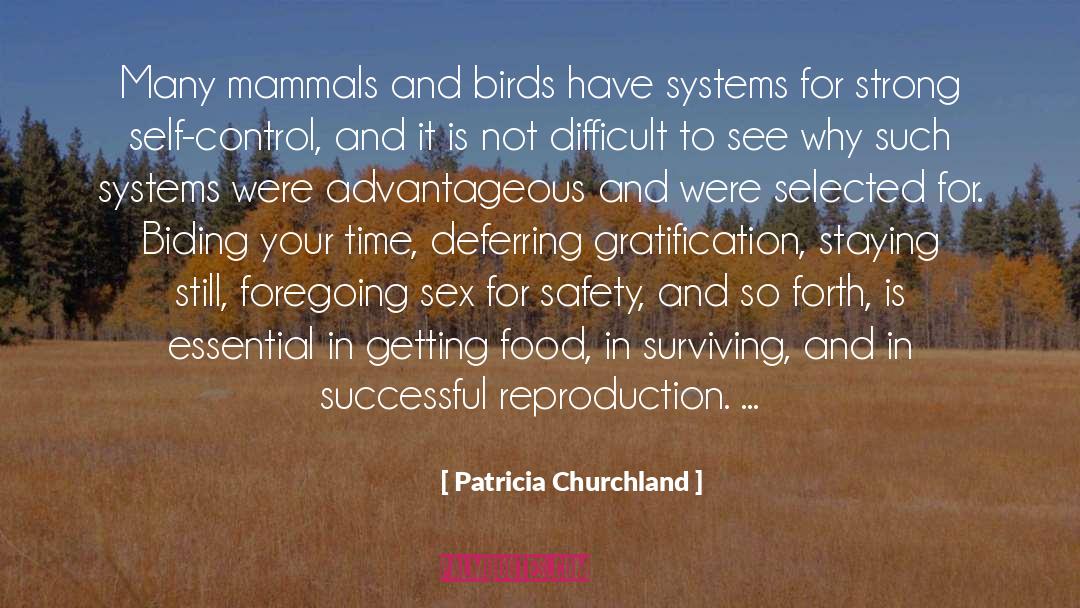 Patricia Churchland Quotes: Many mammals and birds have