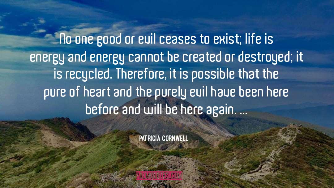 Patricia Cornwell Quotes: No one good or evil