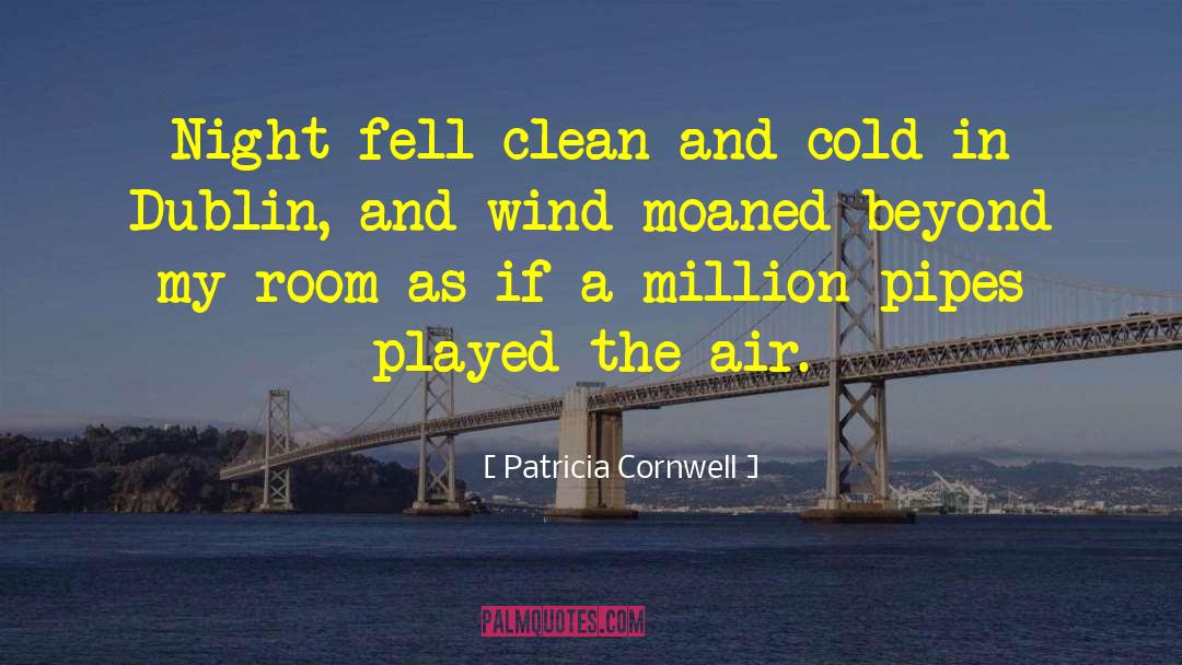 Patricia Cornwell Quotes: Night fell clean and cold
