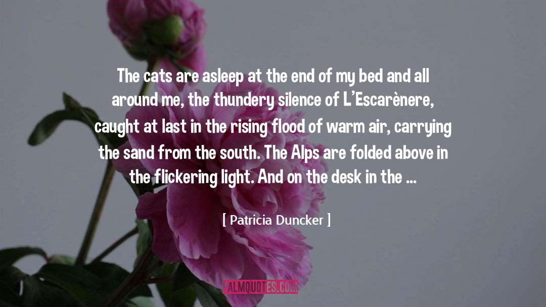 Patricia Duncker Quotes: The cats are asleep at