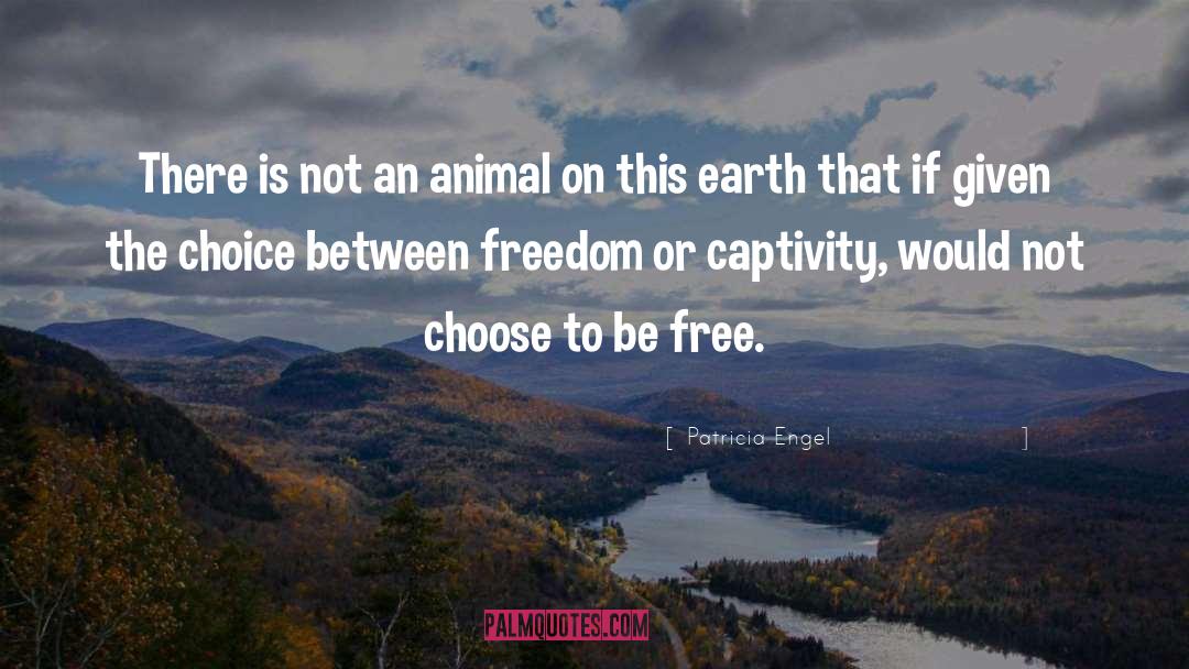 Patricia Engel Quotes: There is not an animal