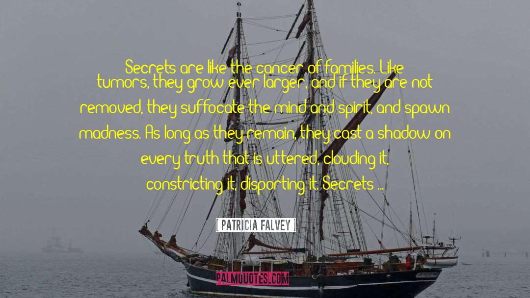 Patricia Falvey Quotes: Secrets are like the cancer