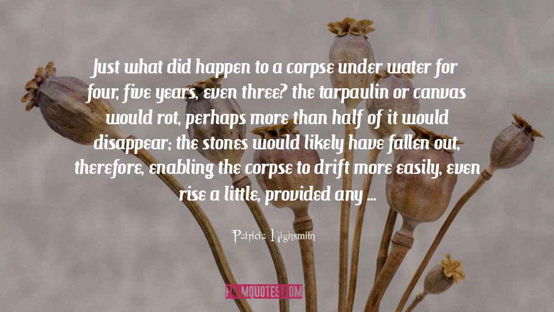 Patricia Highsmith Quotes: Just what did happen to