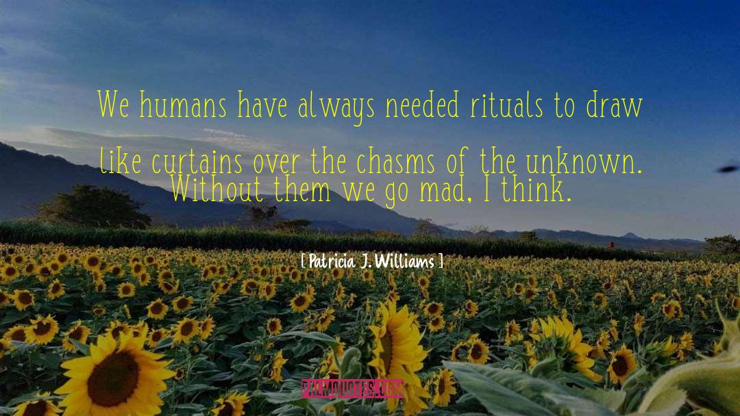 Patricia J. Williams Quotes: We humans have always needed