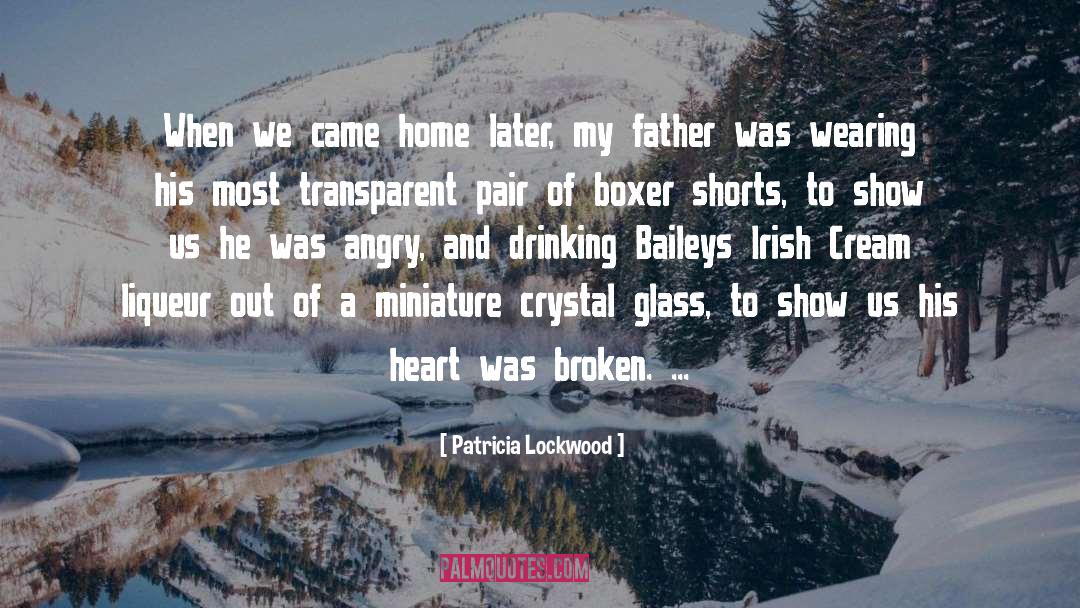 Patricia Lockwood Quotes: When we came home later,