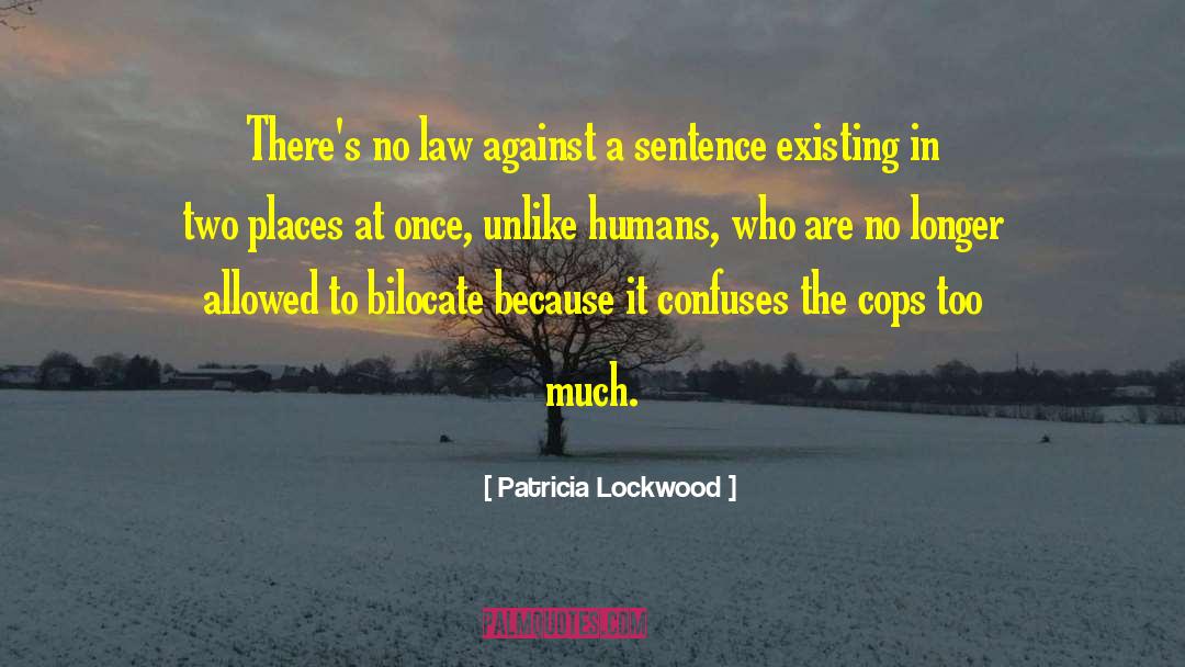 Patricia Lockwood Quotes: There's no law against a