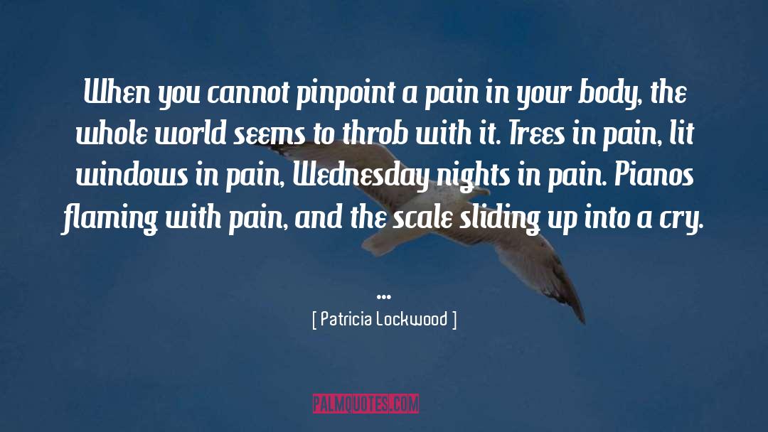 Patricia Lockwood Quotes: When you cannot pinpoint a