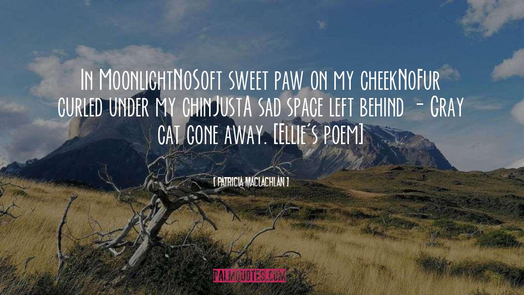 Patricia MacLachlan Quotes: In Moonlight<br />No<br />Soft sweet