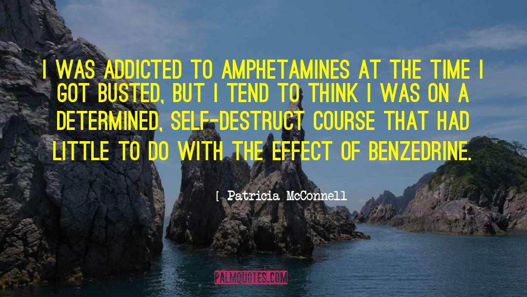 Patricia McConnell Quotes: I was addicted to amphetamines