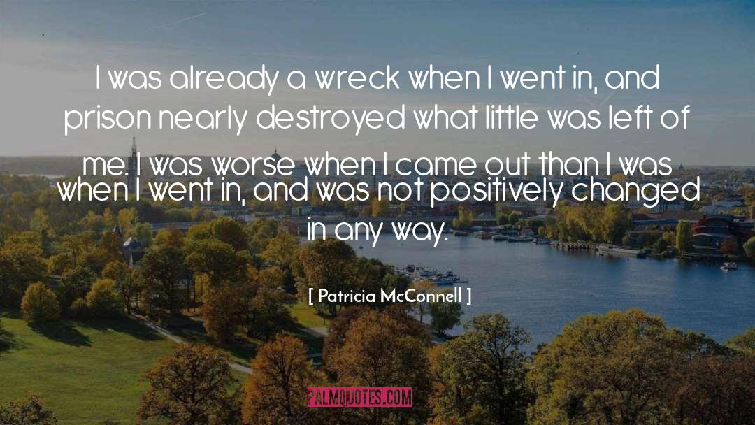 Patricia McConnell Quotes: I was already a wreck