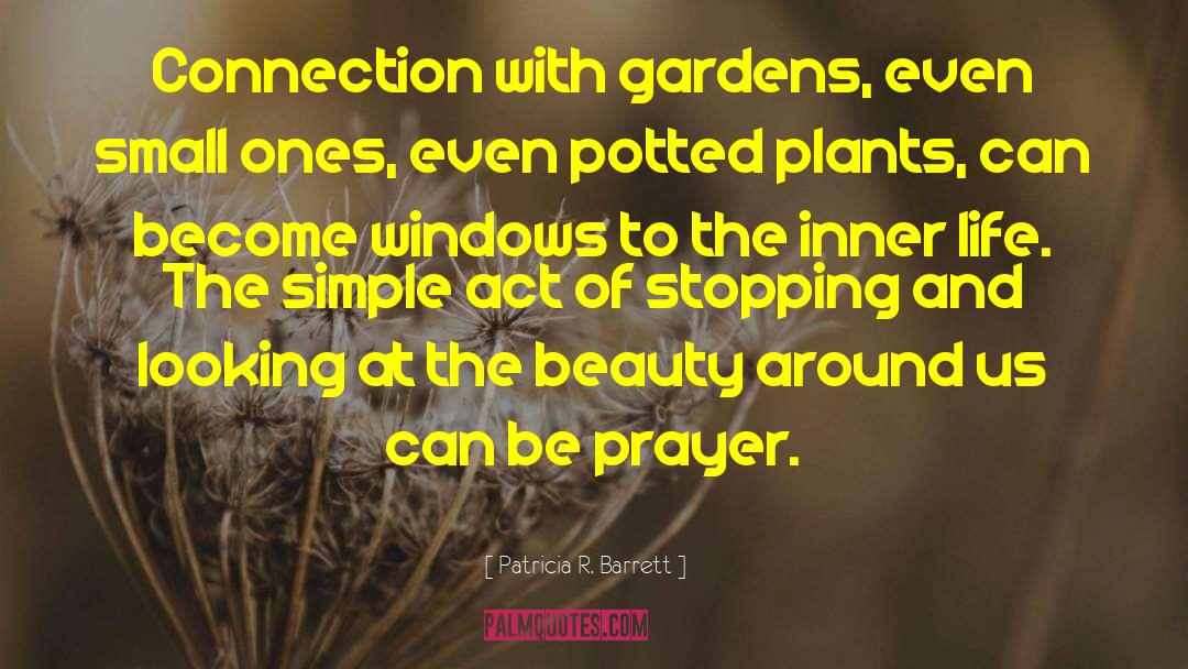 Patricia R. Barrett Quotes: Connection with gardens, even small