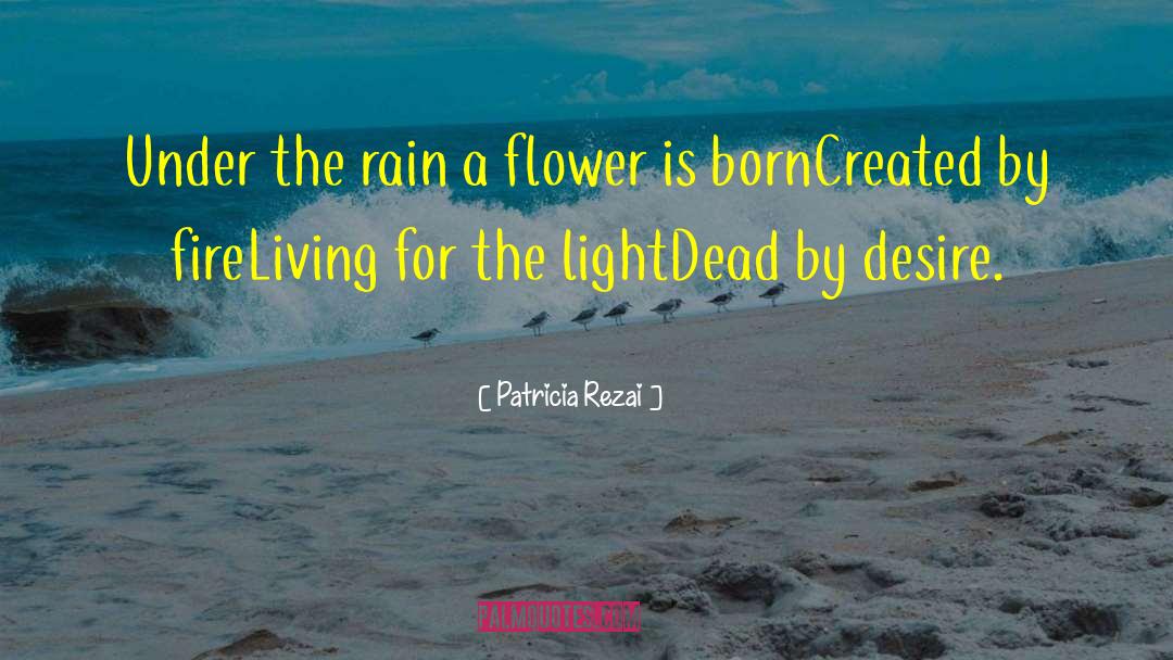 Patricia Rezai Quotes: Under the rain a flower