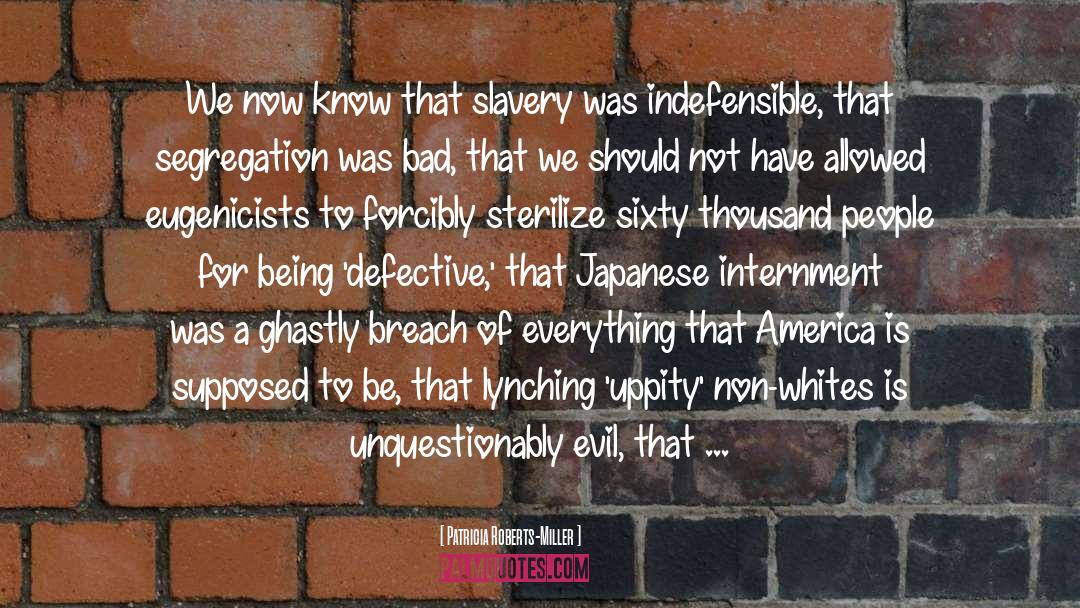 Patricia Roberts-Miller Quotes: We now know that slavery