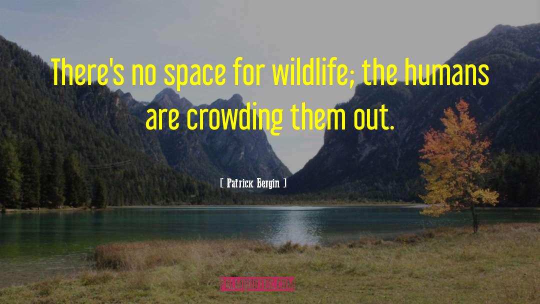 Patrick Bergin Quotes: There's no space for wildlife;