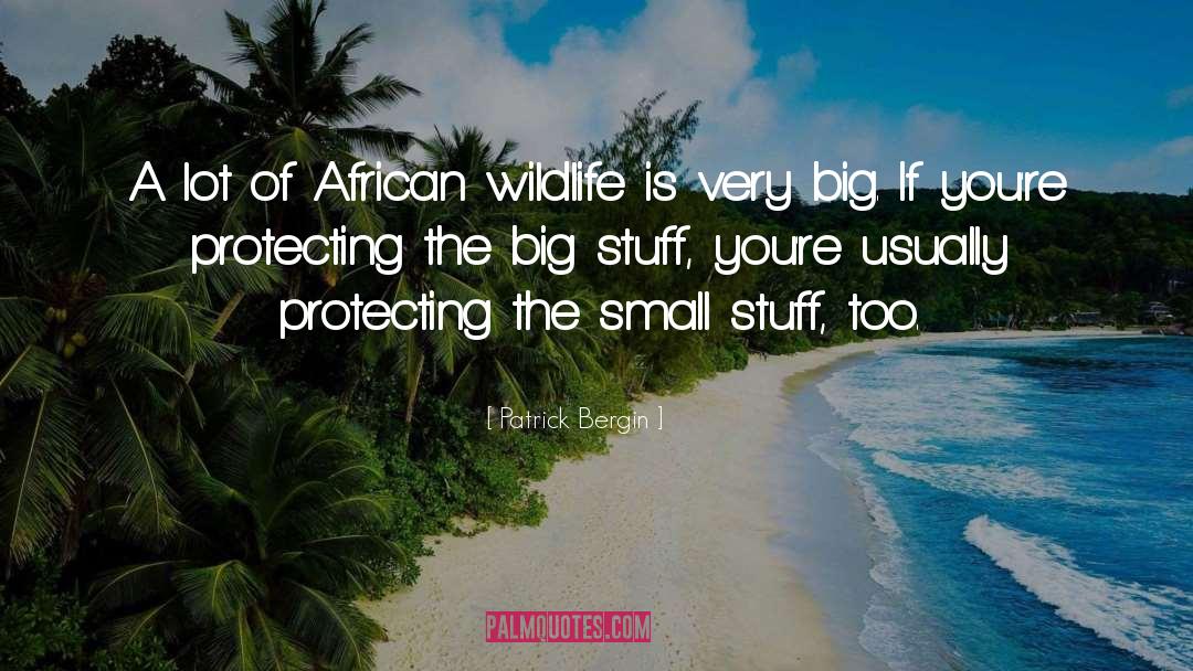 Patrick Bergin Quotes: A lot of African wildlife