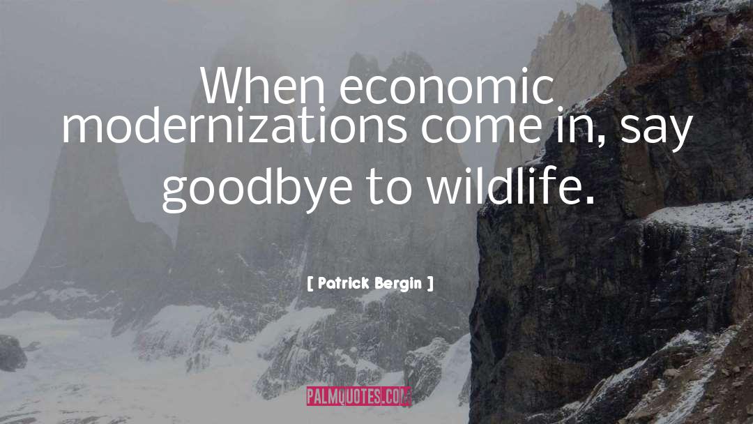 Patrick Bergin Quotes: When economic modernizations come in,