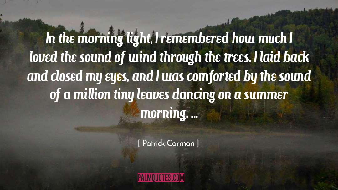 Patrick Carman Quotes: In the morning light, I