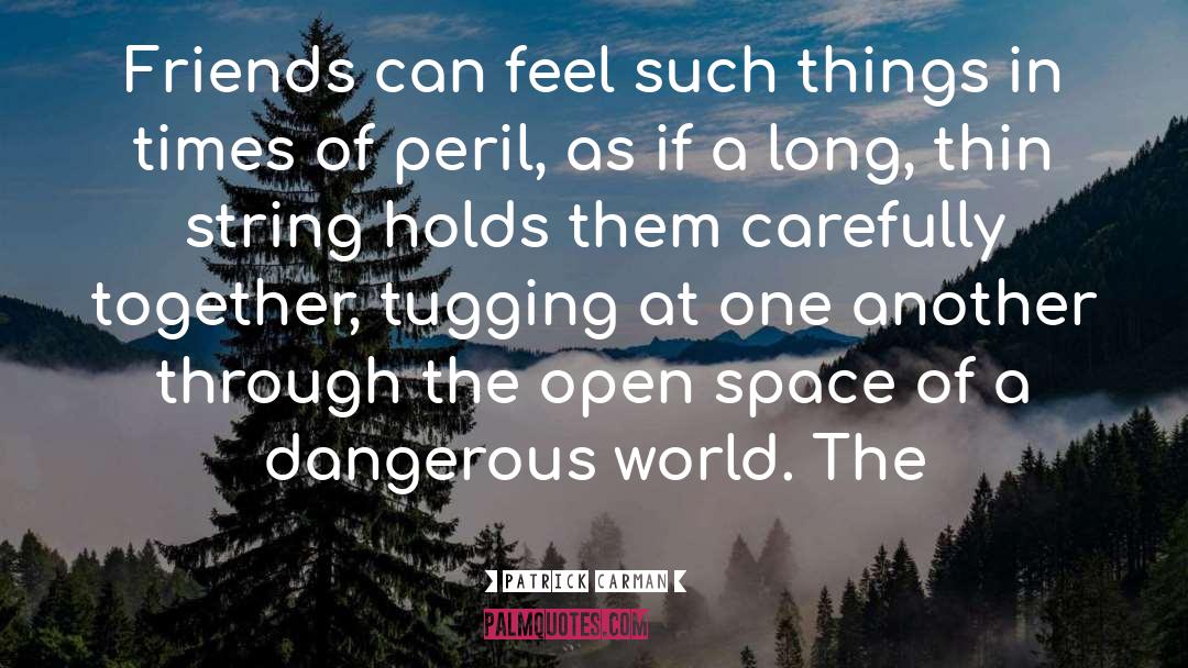 Patrick Carman Quotes: Friends can feel such things
