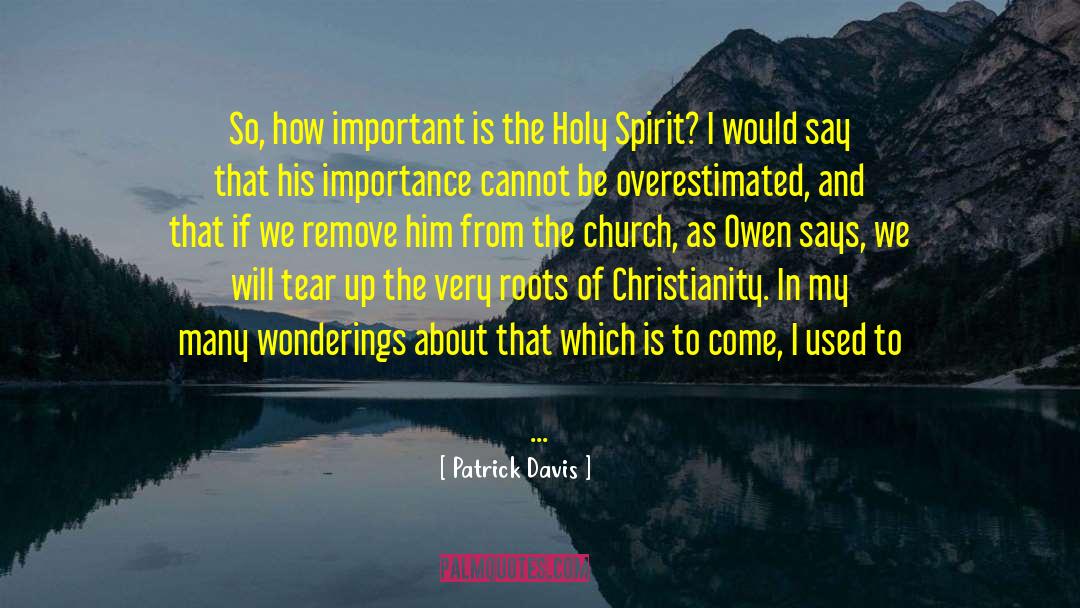 Patrick Davis Quotes: So, how important is the