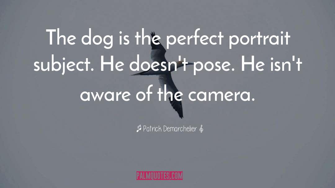 Patrick Demarchelier Quotes: The dog is the perfect