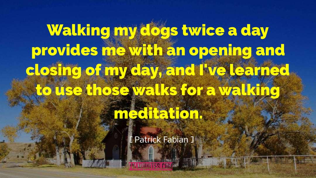 Patrick Fabian Quotes: Walking my dogs twice a