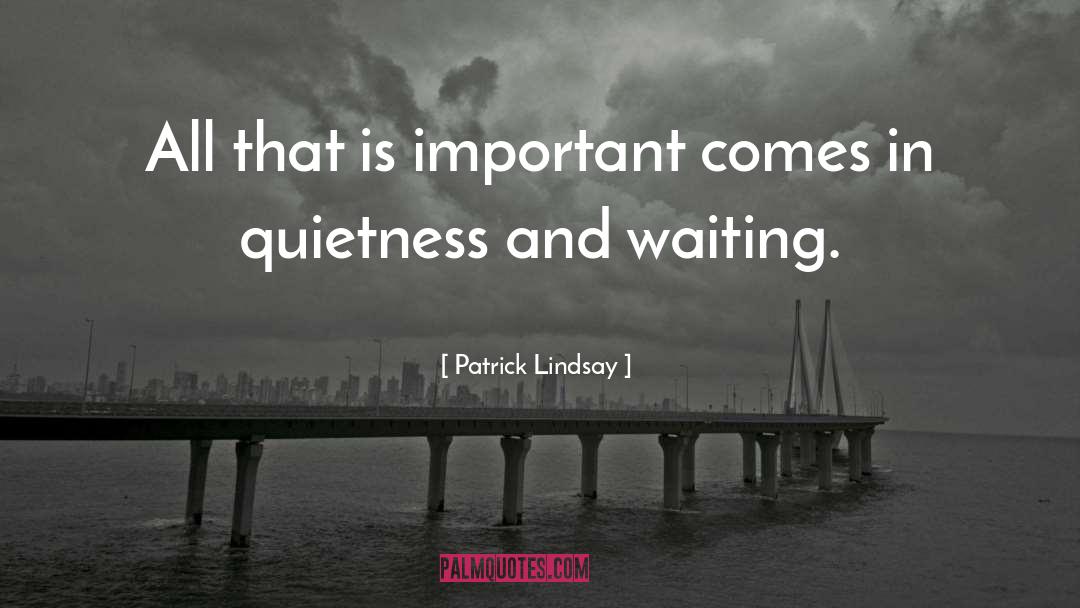 Patrick Lindsay Quotes: All that is important comes