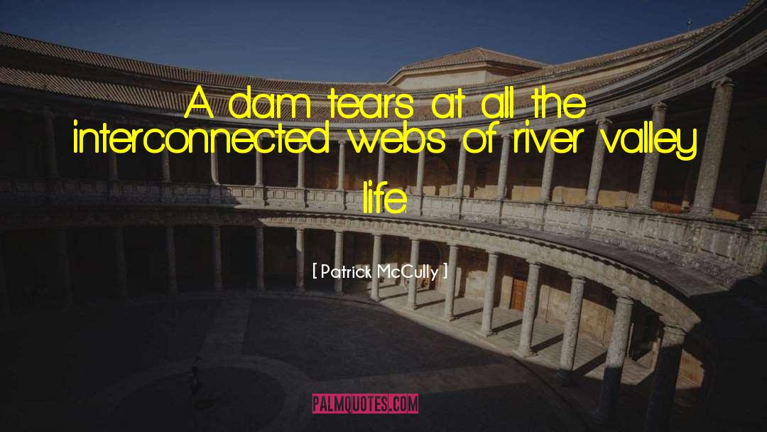 Patrick McCully Quotes: A dam tears at all