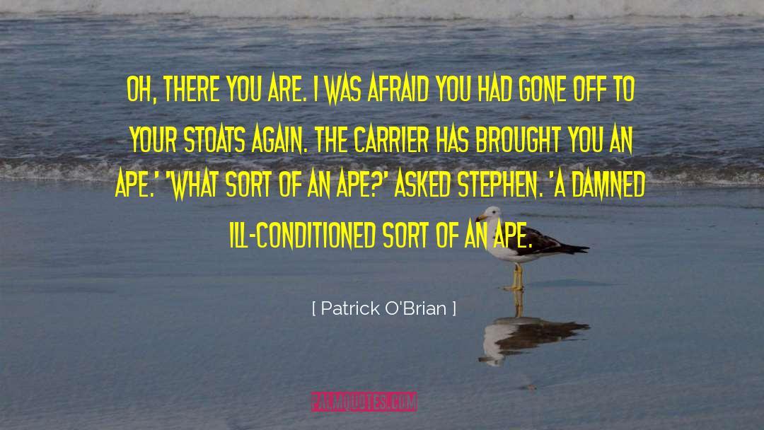 Patrick O'Brian Quotes: Oh, there you are. I