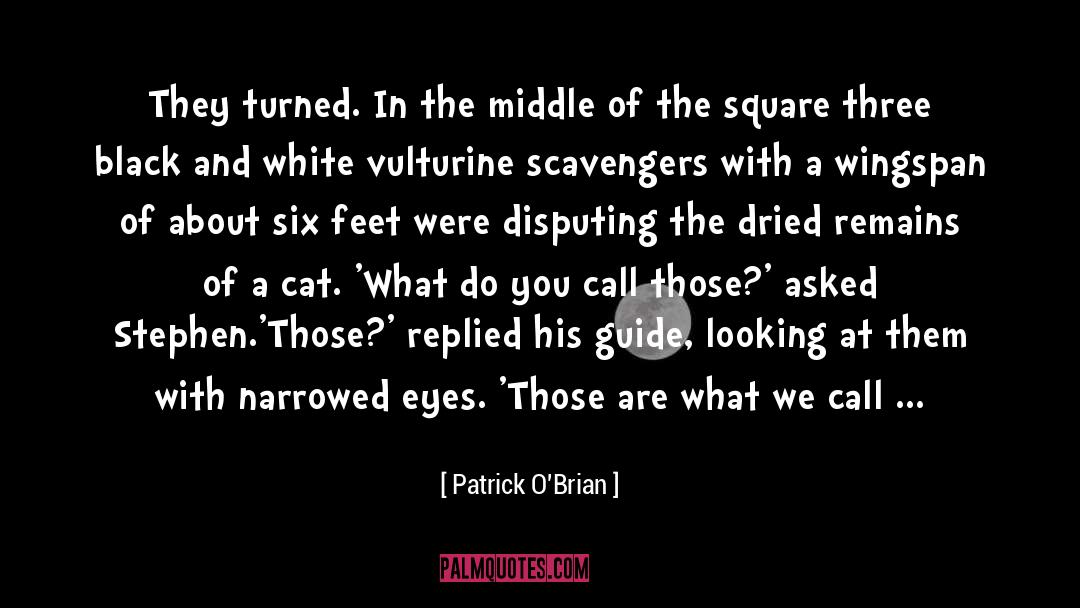 Patrick O'Brian Quotes: They turned. In the middle