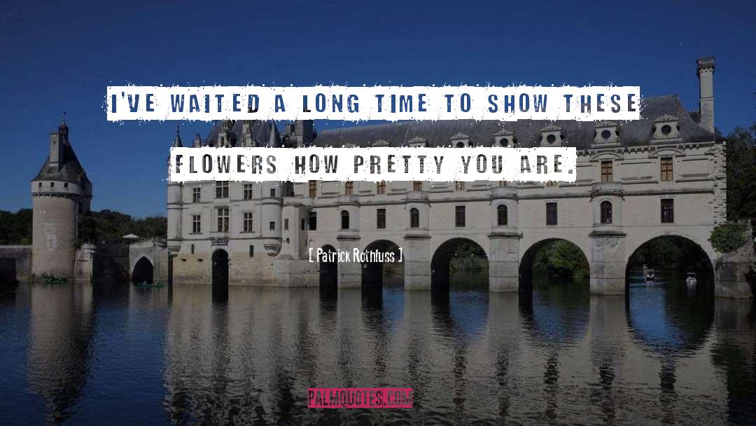 Patrick Rothfuss Quotes: I've waited a long time