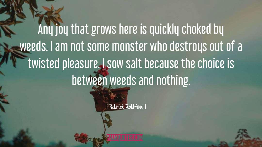 Patrick Rothfuss Quotes: Any joy that grows here