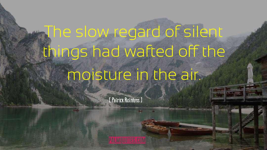 Patrick Rothfuss Quotes: The slow regard of silent