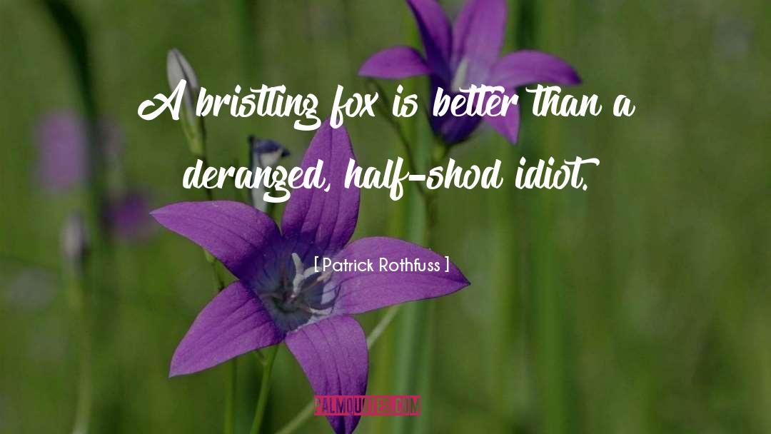 Patrick Rothfuss Quotes: A bristling fox is better