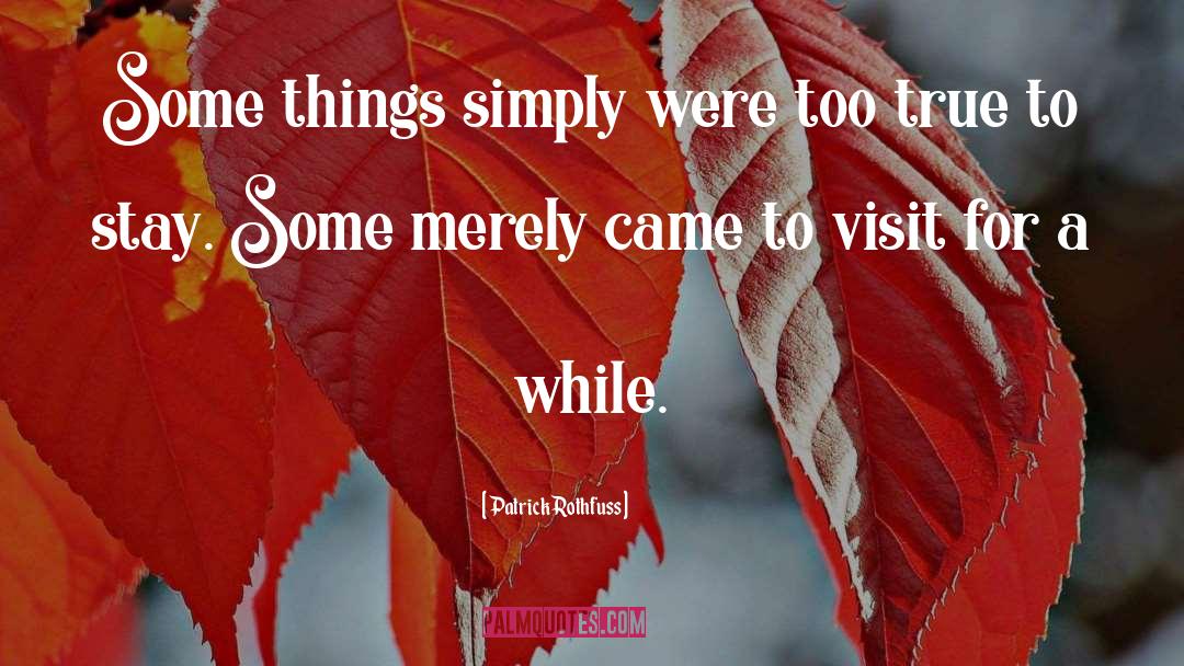 Patrick Rothfuss Quotes: Some things simply were too