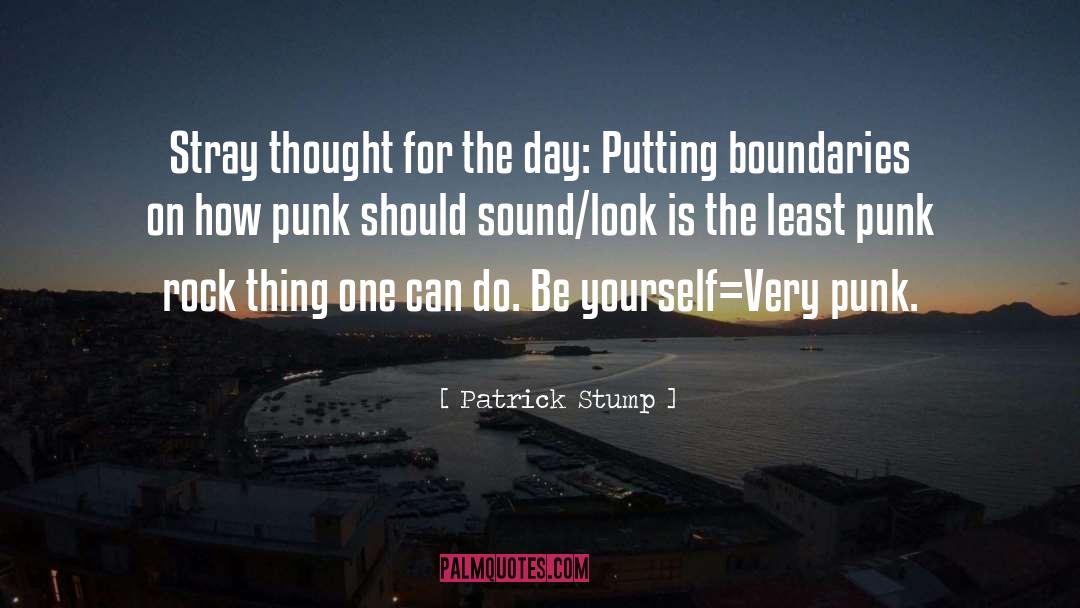 Patrick Stump Quotes: Stray thought for the day: