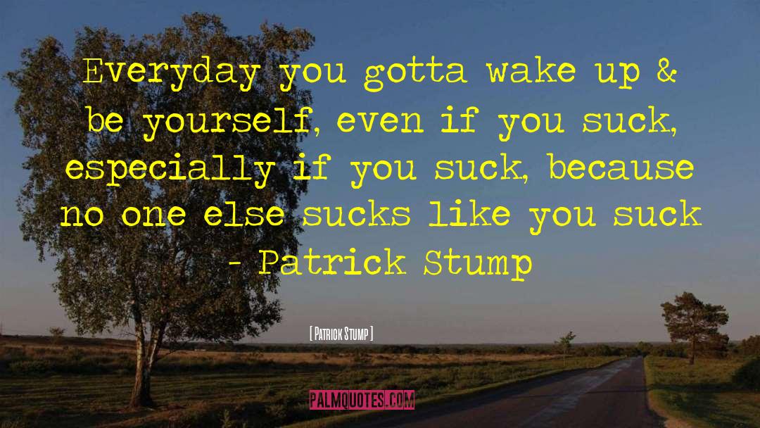 Patrick Stump Quotes: Everyday you gotta wake up